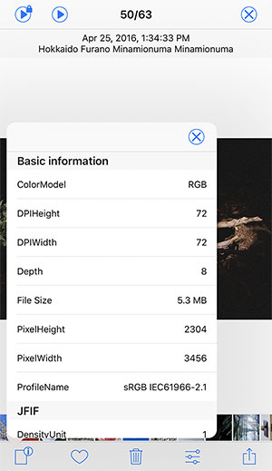 Pictream app photo preview screen